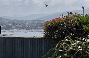 Photo 11- click for photo gallery